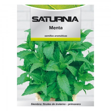 Semillas Aromaticas Menta (0.3 gramos) Horticultura, Horticola, Semillas Huerto.